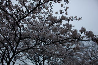 100175_01.jpg